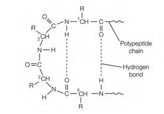 2090_Secondary structure 2.png